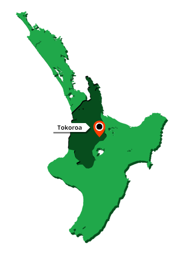 Tokoroa